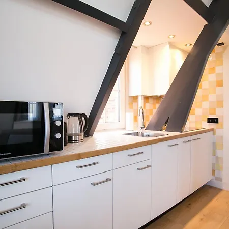Four Star Apartments - Berkenbosch Blokstraat The Hague Room photo