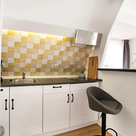 Four Star Apartments - Berkenbosch Blokstraat The Hague Room photo