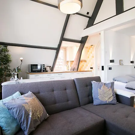 Four Star Apartments - Berkenbosch Blokstraat The Hague Room photo